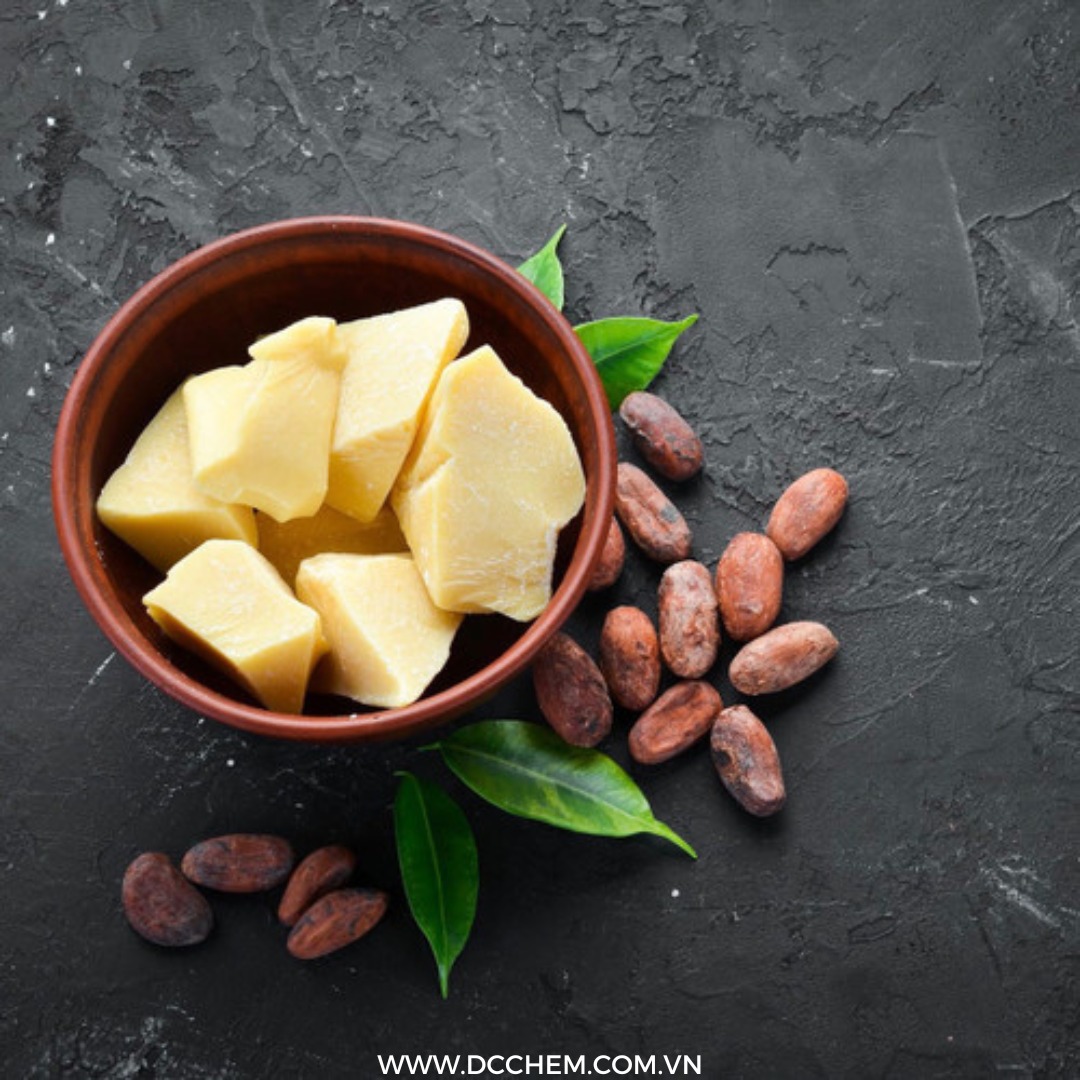 Dầu Bơ Cocoa-Dầu thực vật và Bơ tự nhiên