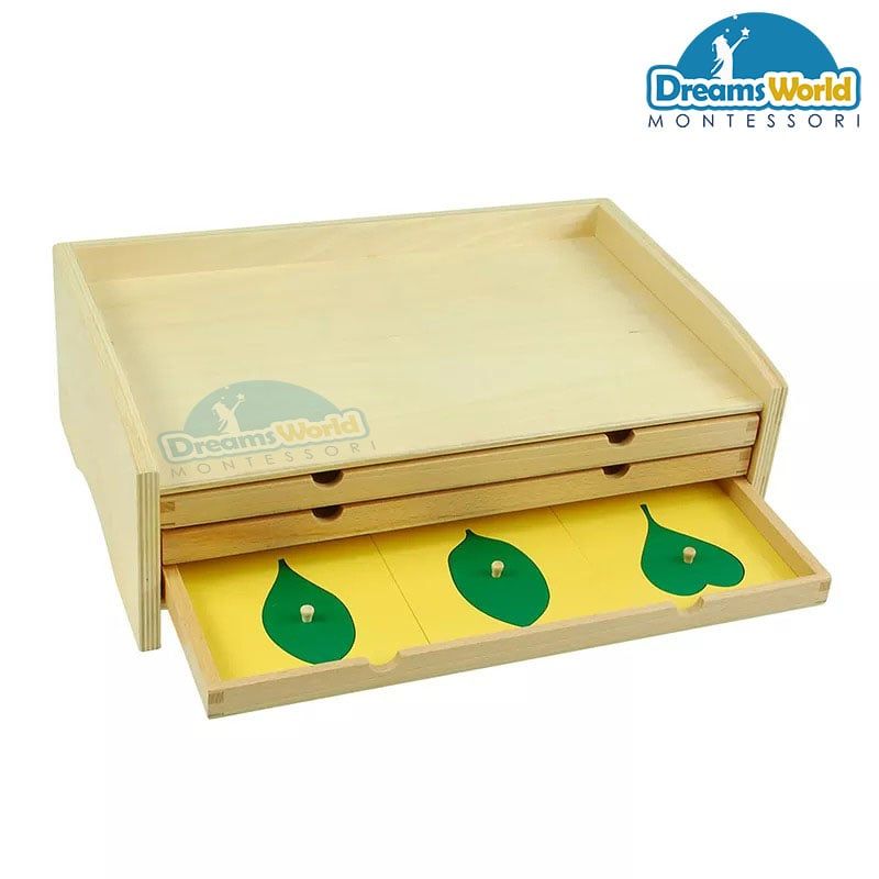Giáo cụ Montessori - Tủ lá cây 3 ngăn - BOTANY LEAF CABINET WITH INSETS