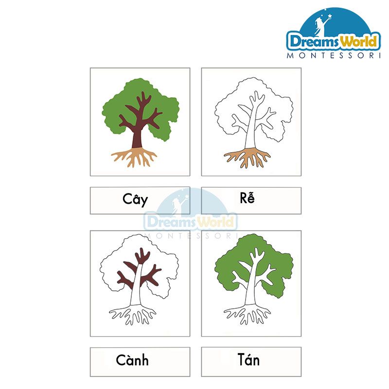 Giáo cụ Montessori - Thẻ kiểm soát tranh sinh học - Biological painting control card