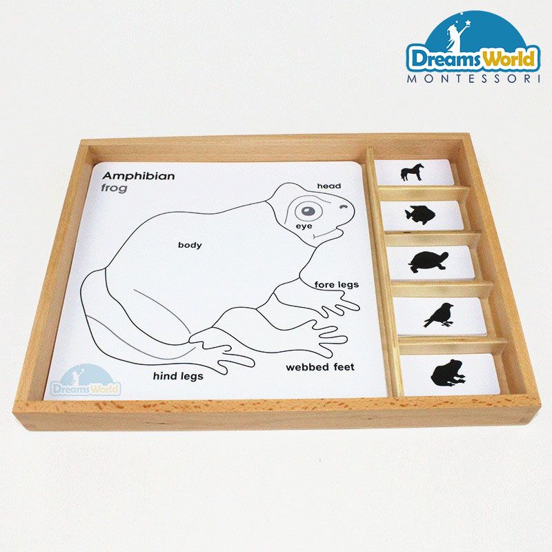 Giáo cụ Montessori - Bộ thẻ động vật - Animal Puzzle Activity Set-English