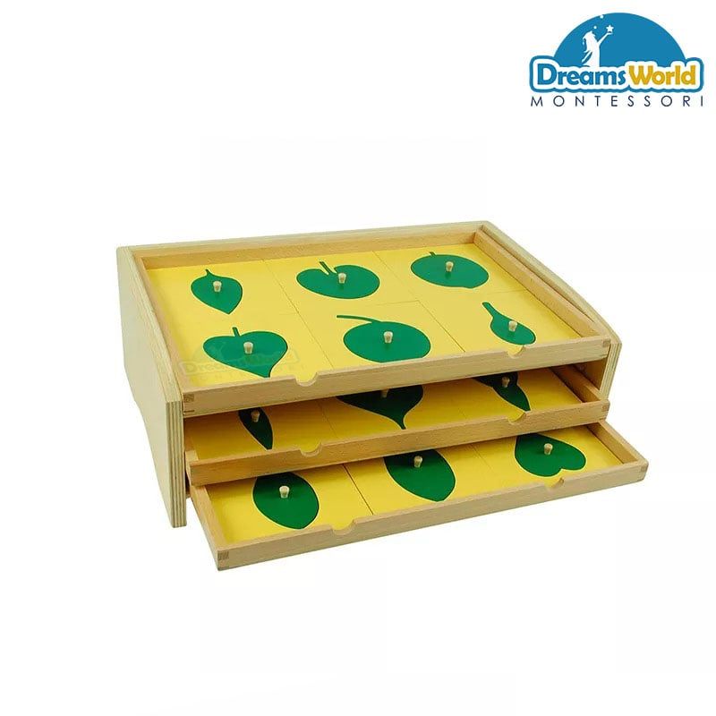 Giáo cụ Montessori - Tủ lá cây 3 ngăn - BOTANY LEAF CABINET WITH INSETS