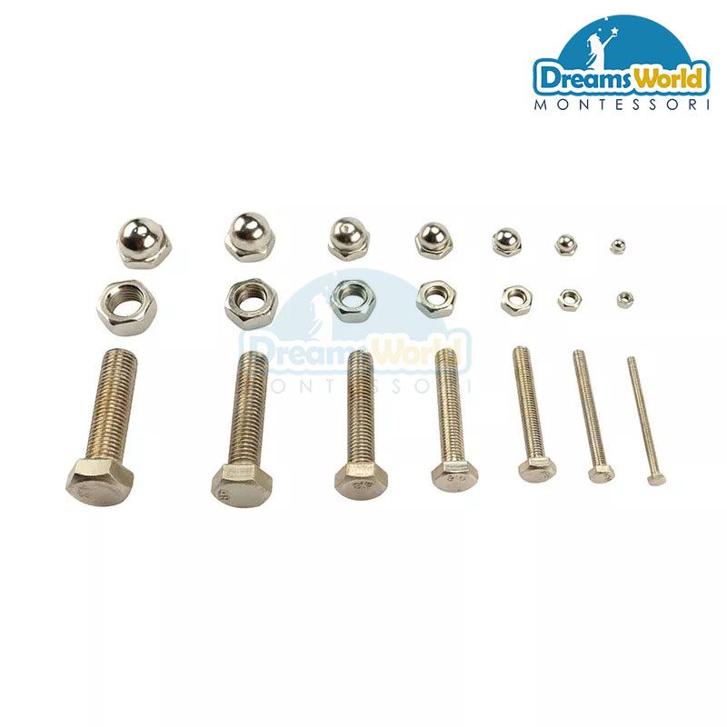 Giáo Cụ Montessori - Bộ ốc vít bu lông B - Nuts and Bolts B