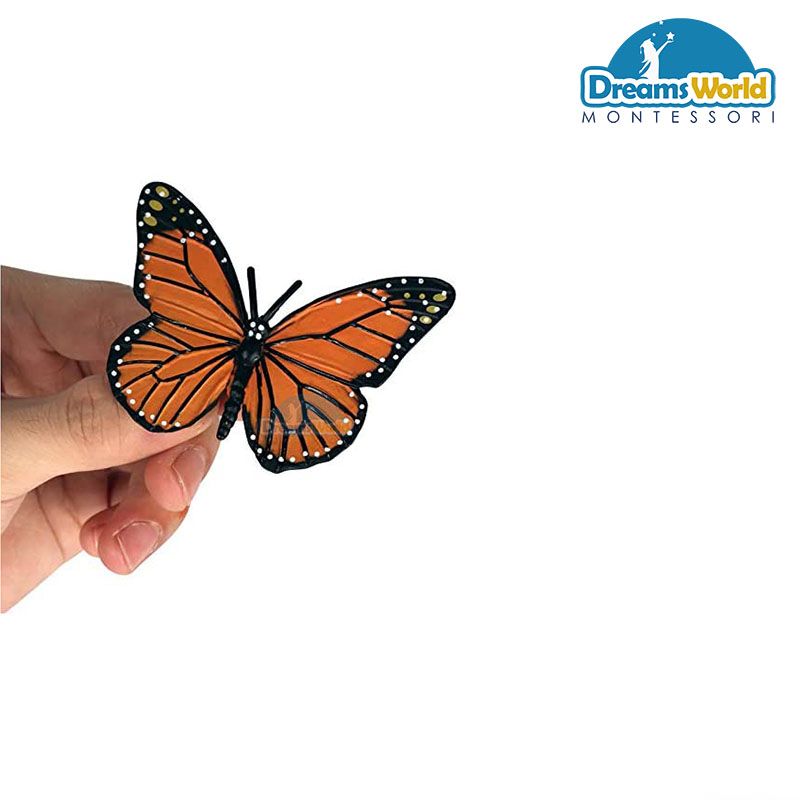 Giáo cụ Montessori - Mô hình vòng đời của bướm - Butterfly life cycle model