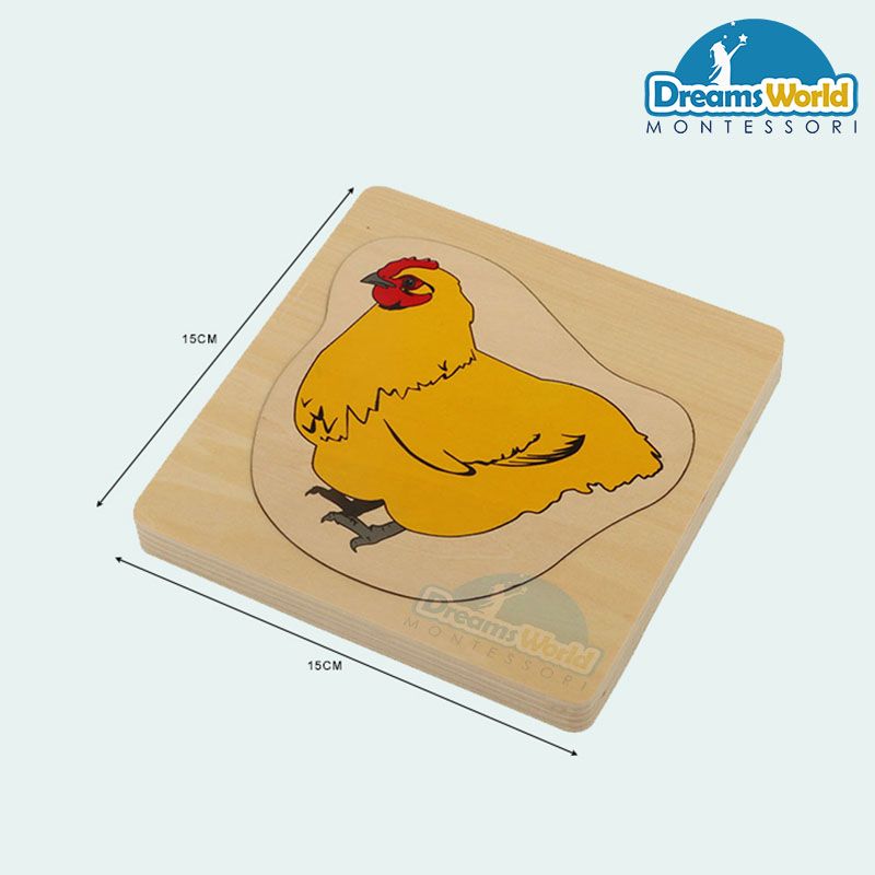 Giáo cụ Montessori - Vòng đời của con gà mái - Development of Chicken