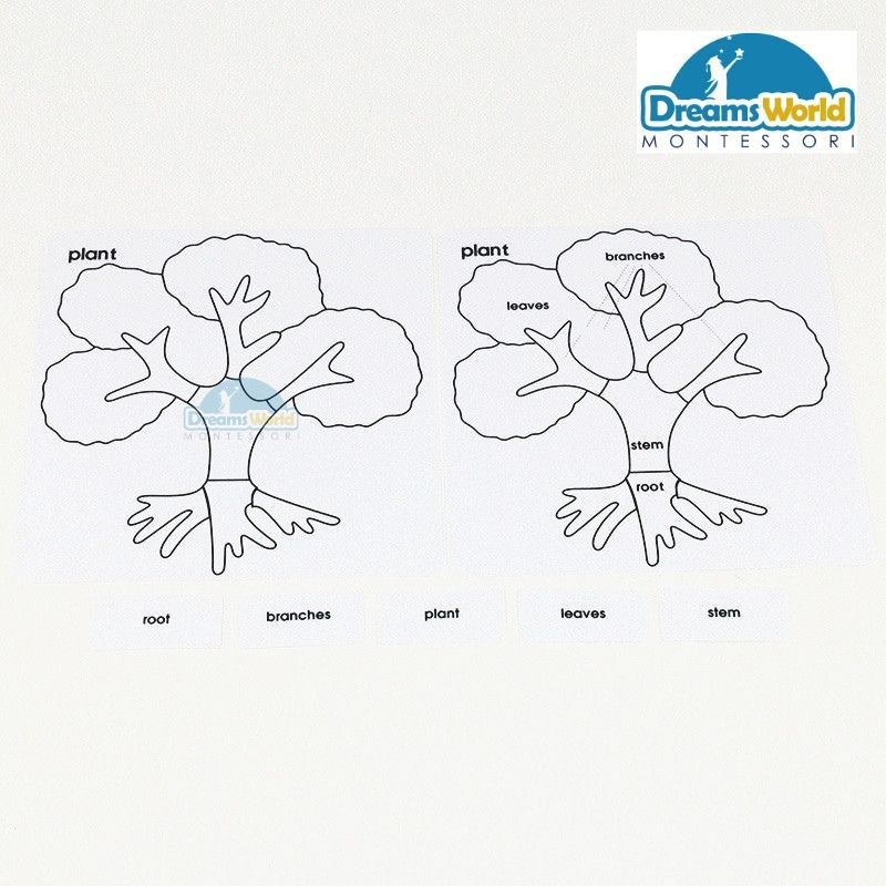 Giáo cụ Montessori - Bộ thẻ thực vật - Botany Puzzle Activity Set-English