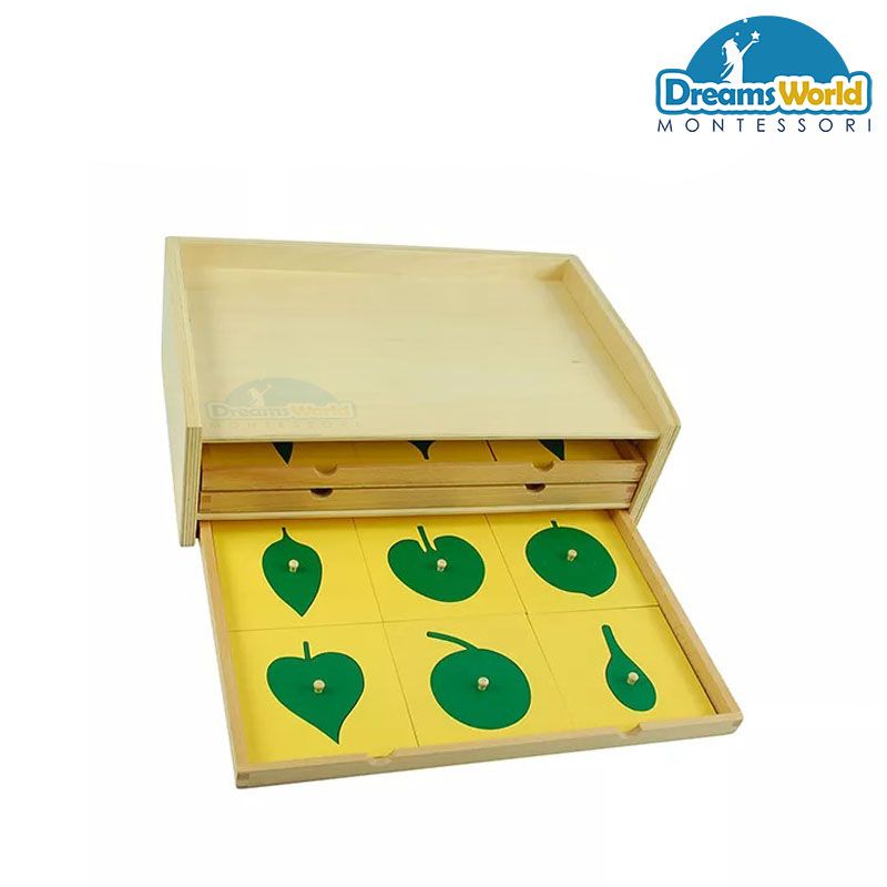 Giáo cụ Montessori - Tủ lá cây 3 ngăn - BOTANY LEAF CABINET WITH INSETS