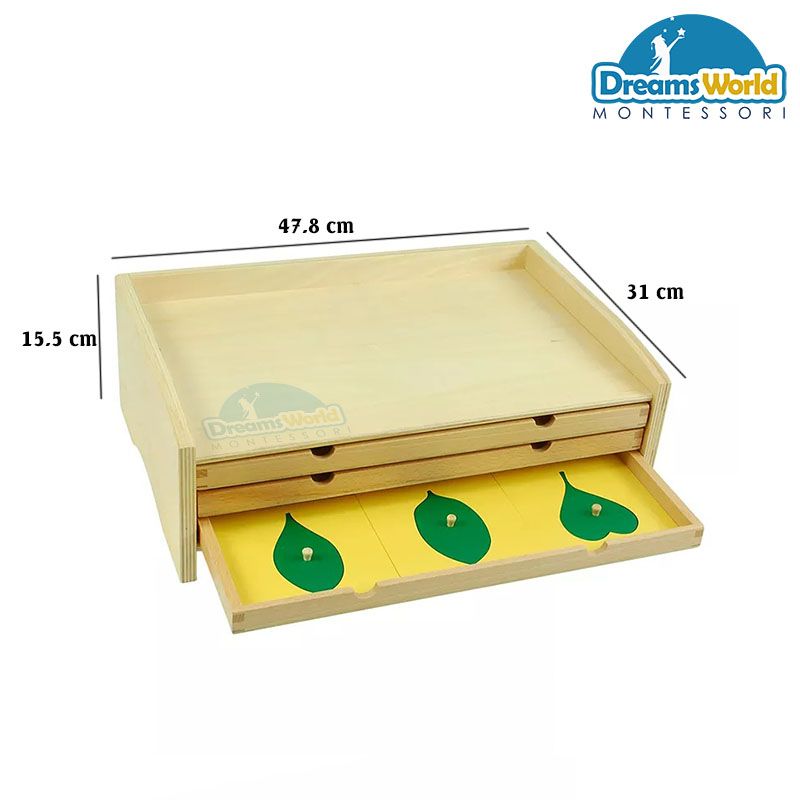 Giáo cụ Montessori - Tủ lá cây 3 ngăn - BOTANY LEAF CABINET WITH INSETS