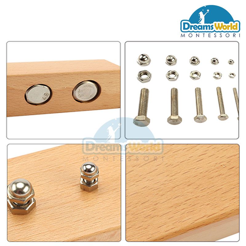 Giáo Cụ Montessori - Bộ ốc vít bu lông B - Nuts and Bolts B