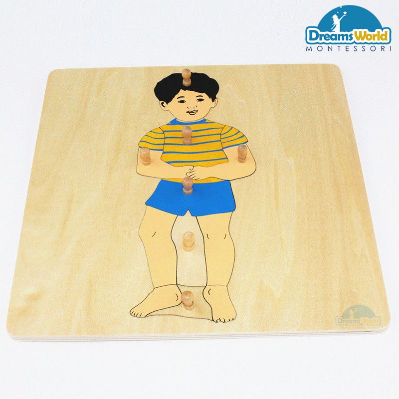 Giáo cụ Montessori - Tranh Ghép Sinh Học Hình Bé Trai - Boy Puzzle