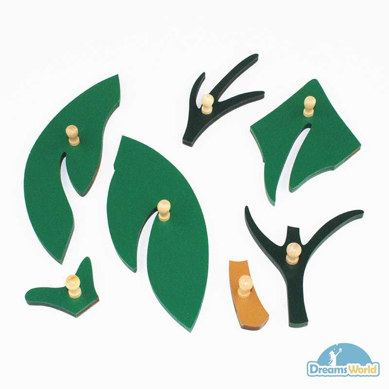 Giáo cụ Montessori - Tranh Ghép Sinh Học Hình Lá - Leaf Puzzle
