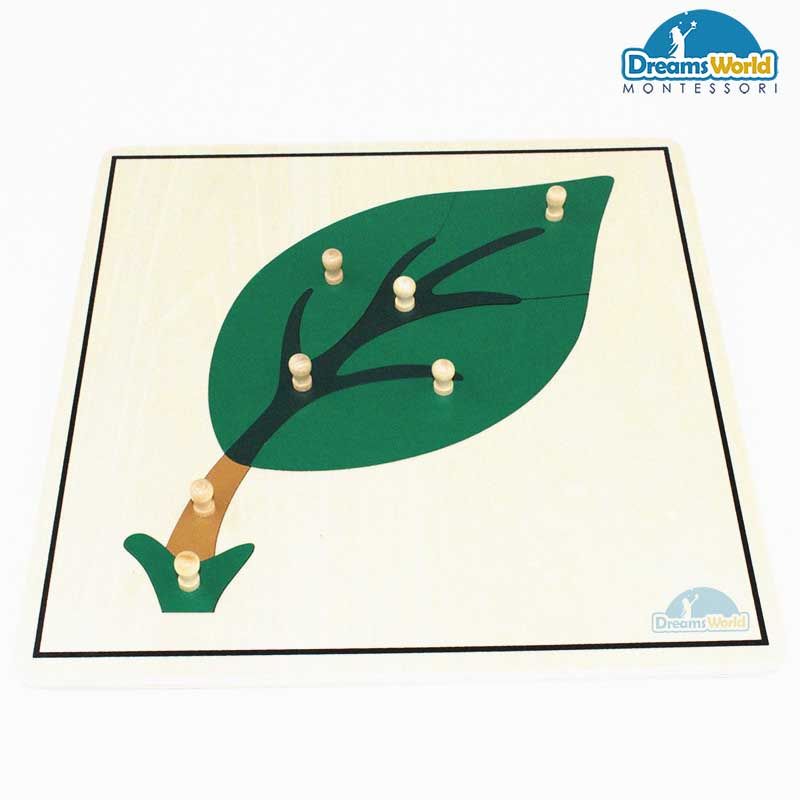 Giáo cụ Montessori - Tranh Ghép Sinh Học Hình Lá - Leaf Puzzle