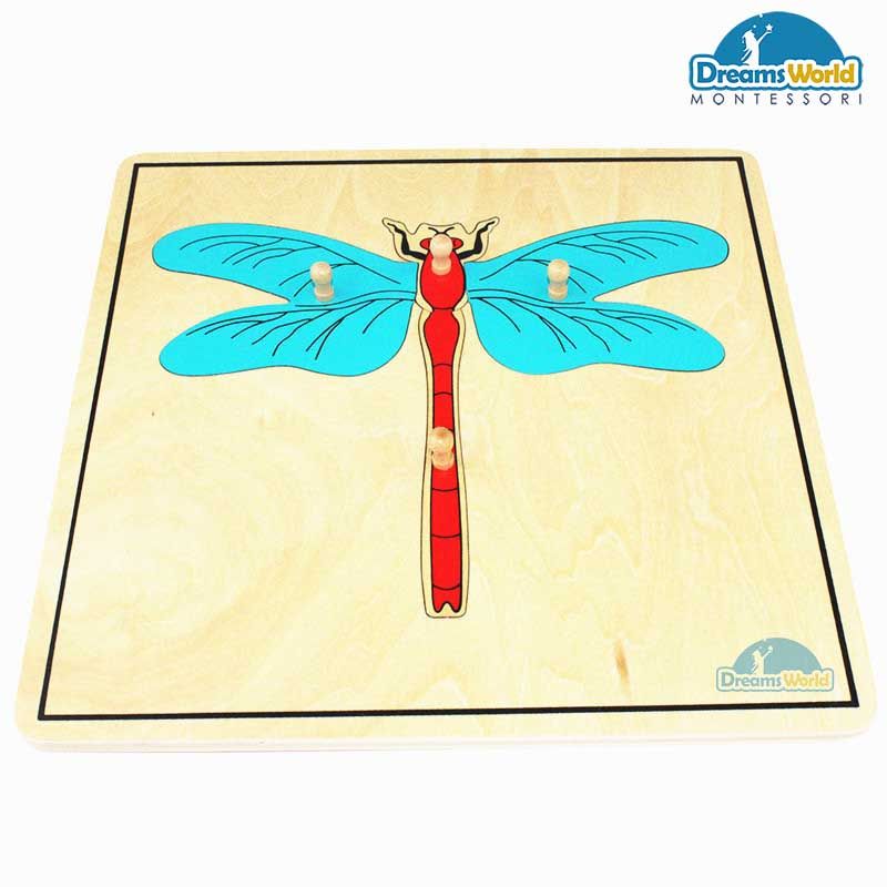 Giáo cụ Montessori - Tranh ghép sinh học hình con chuồn chuồn - Dragonfly puzzle
