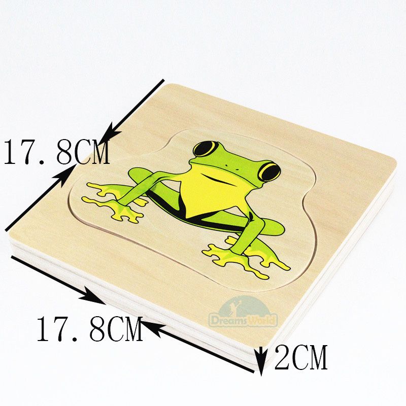 Giáo cụ Montessori - Vòng Đời Con Ếch - Development of Frog