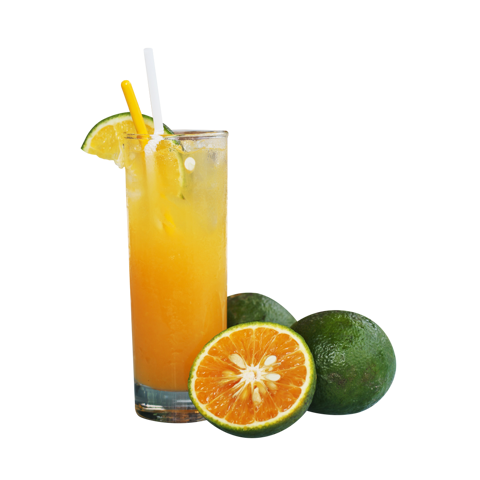 Cam Vắt