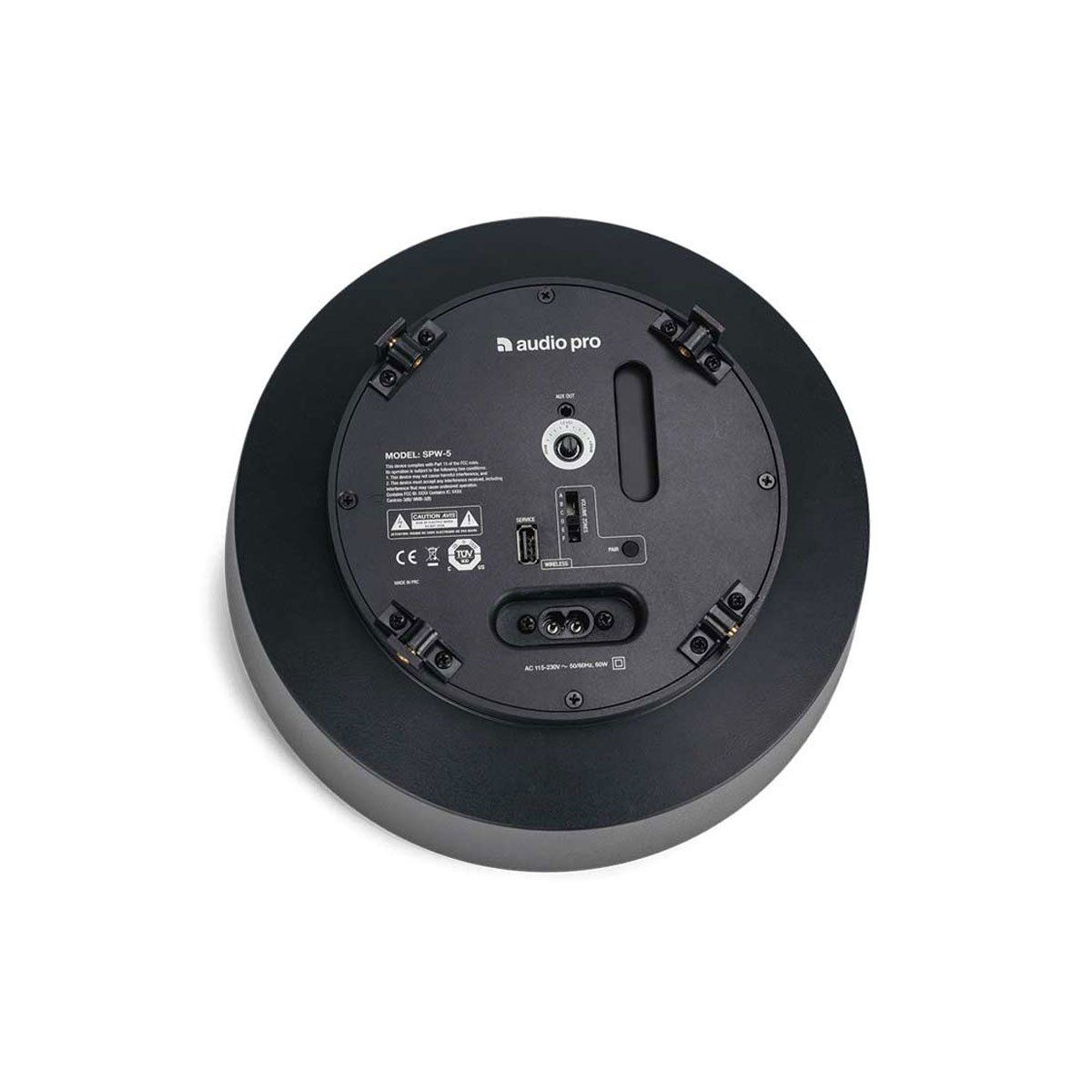 Loa AudioPro SPW-5