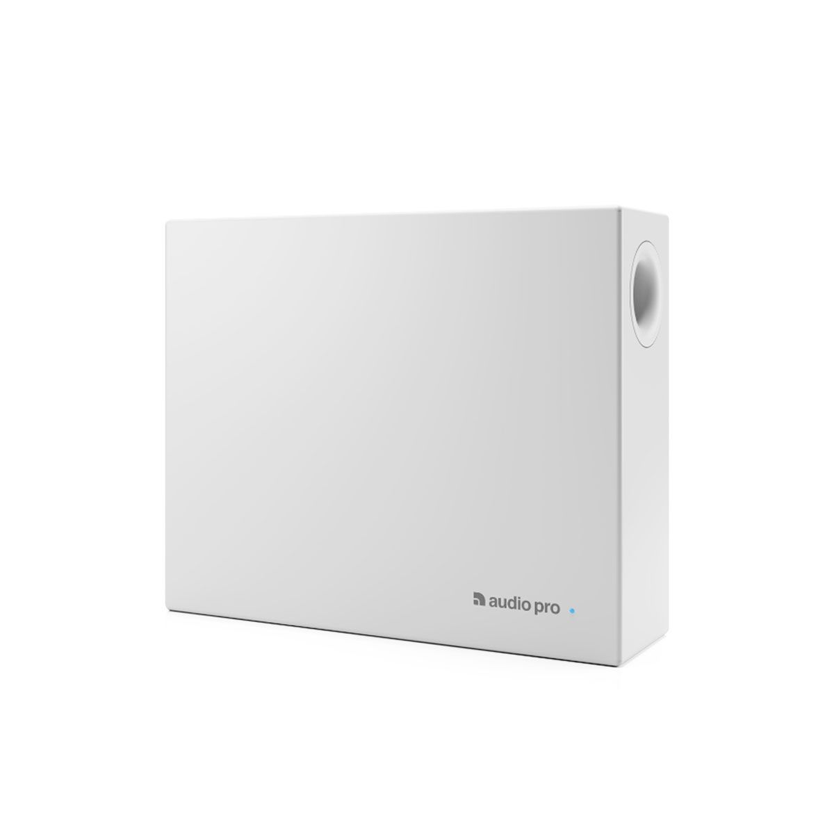 Loa AudioPro SUB-1
