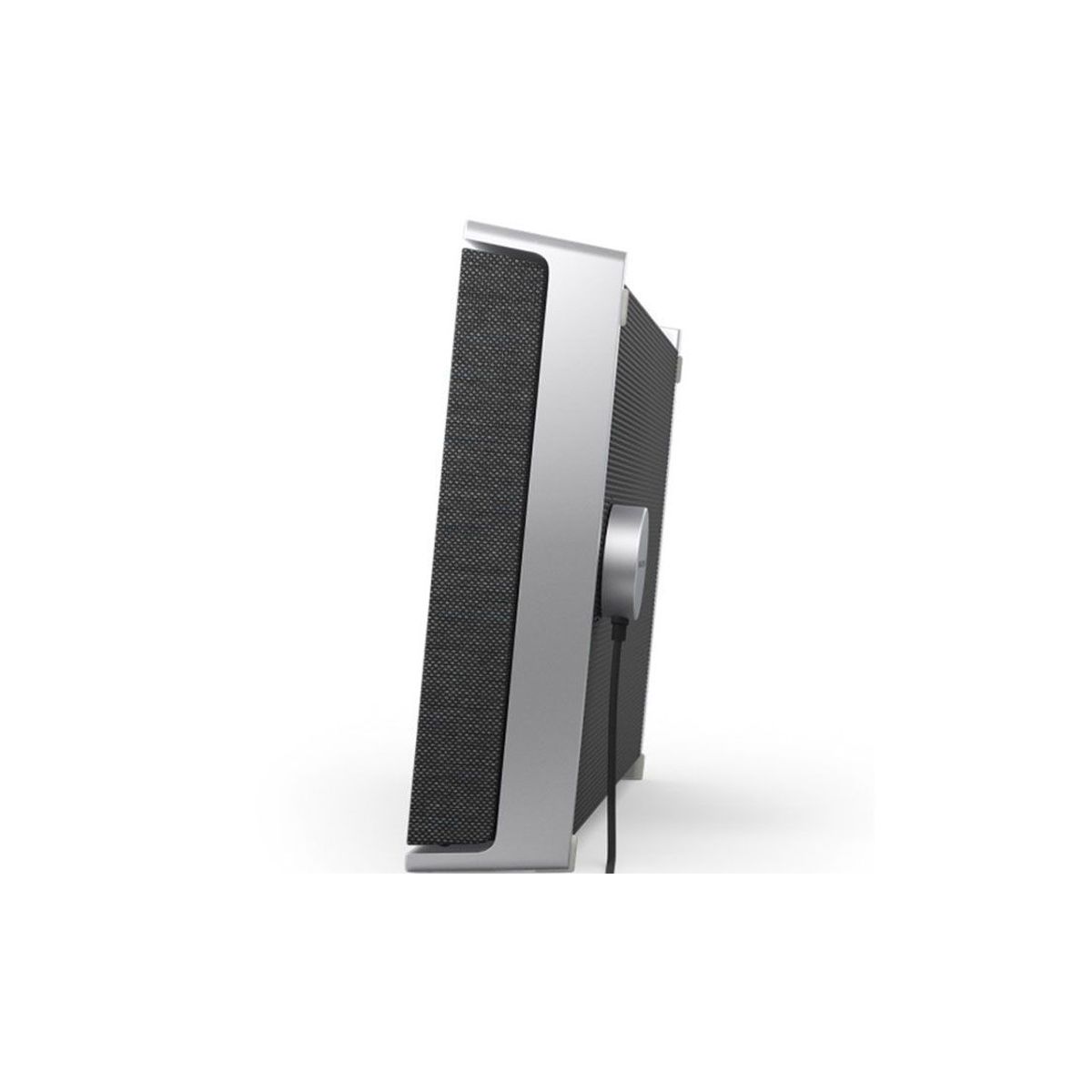 Loa B&O (Bang&Olufsen) BeoSound Level