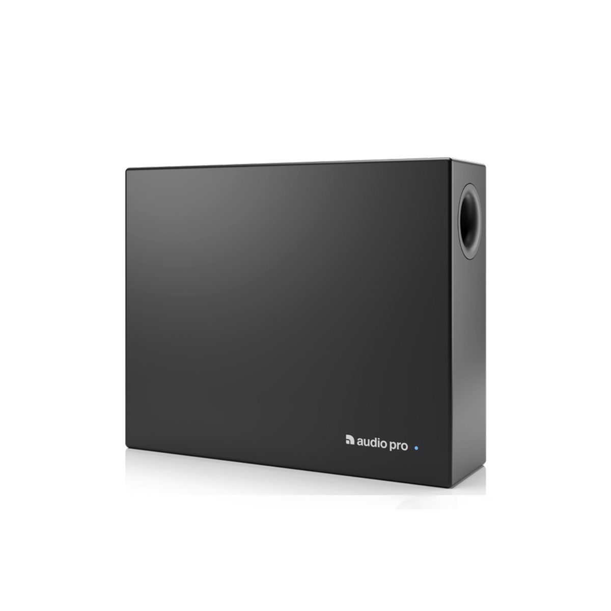 Loa AudioPro SUB-1