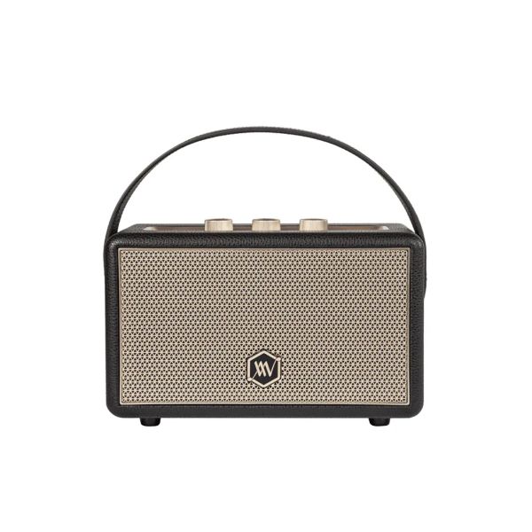 Loa Bluetooth Alpha Works AW-W88