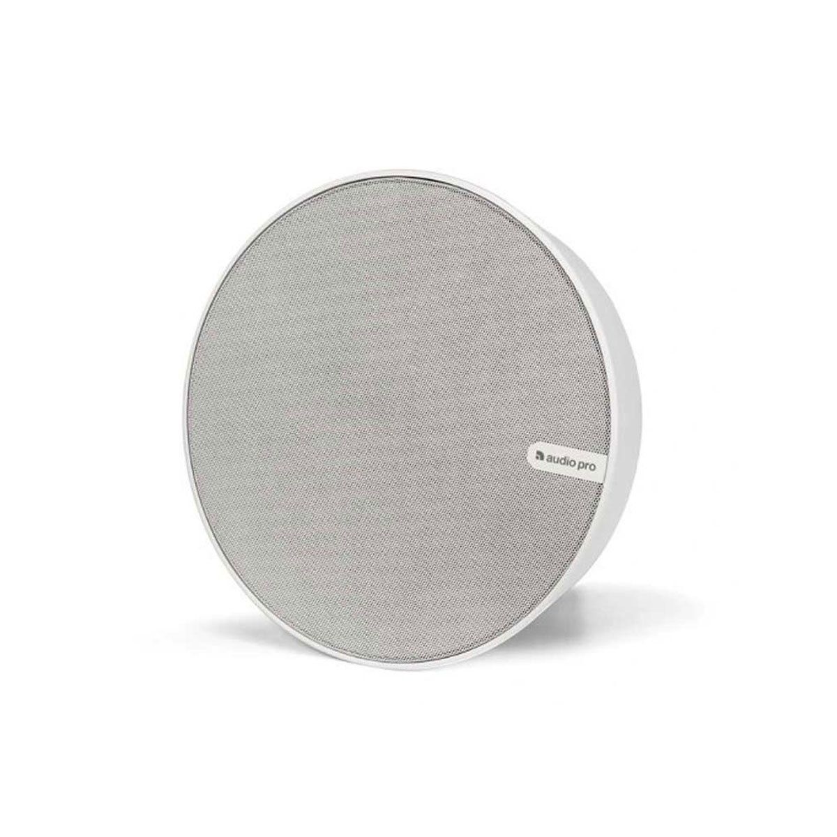 Loa AudioPro SPW-5