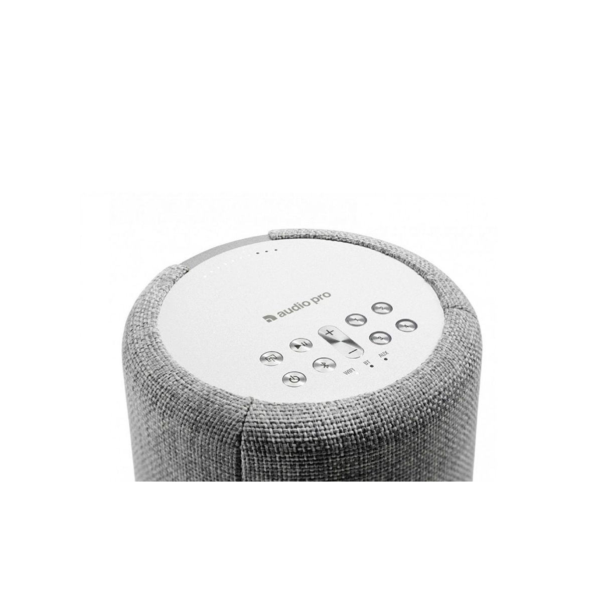 Loa Audio Pro A10