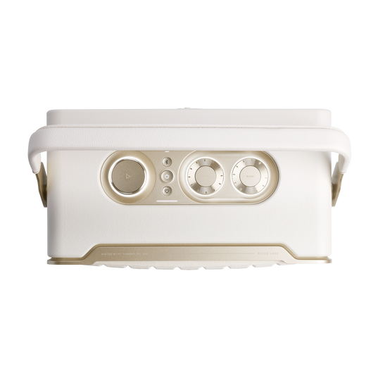 Loa Bluetooth JBL Authentics 300