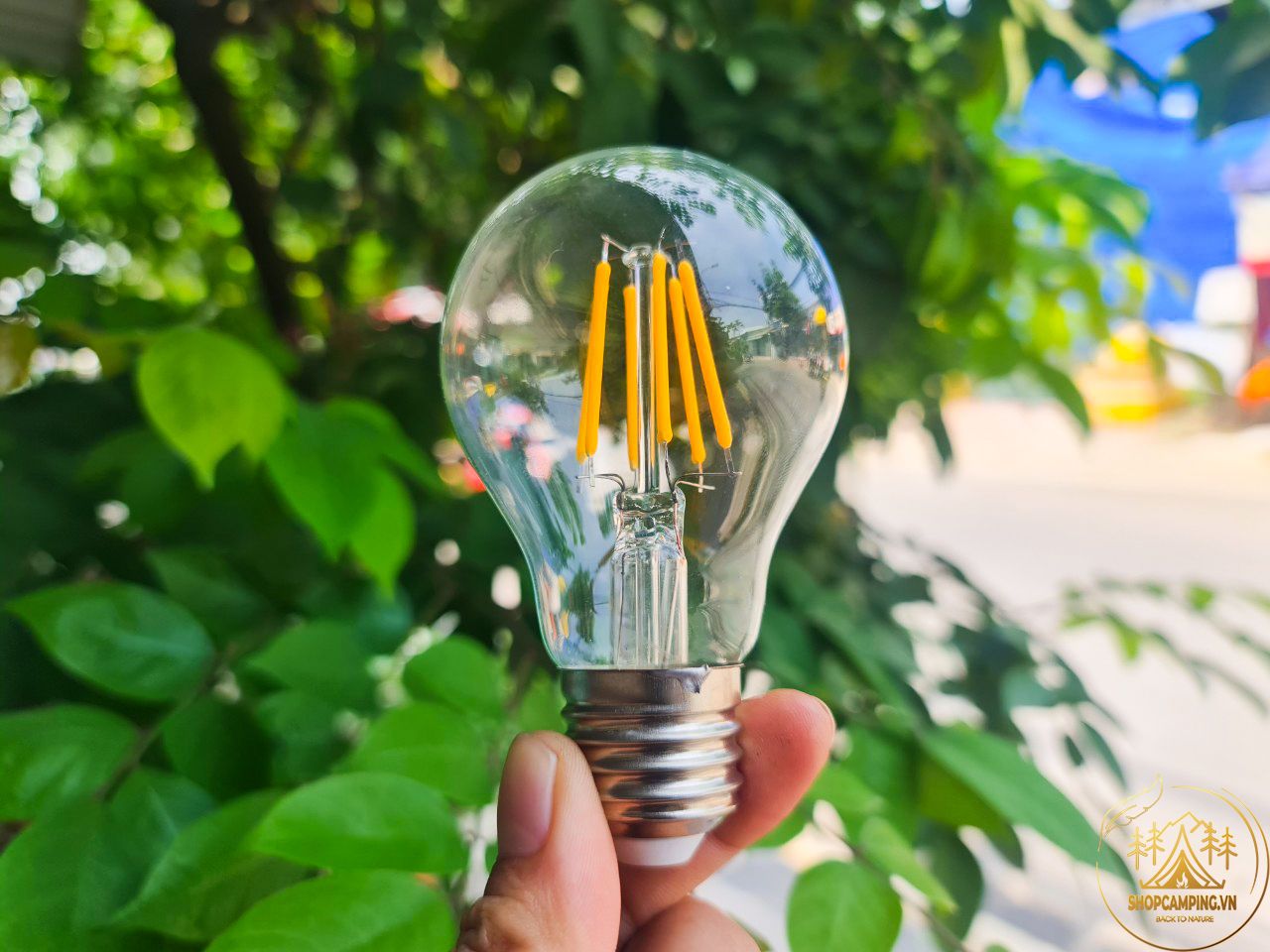 Bóng đèn led Edison A60 công suất 6w dc12v, bóng led ánh sáng vàng đui e27 chống ngược cực