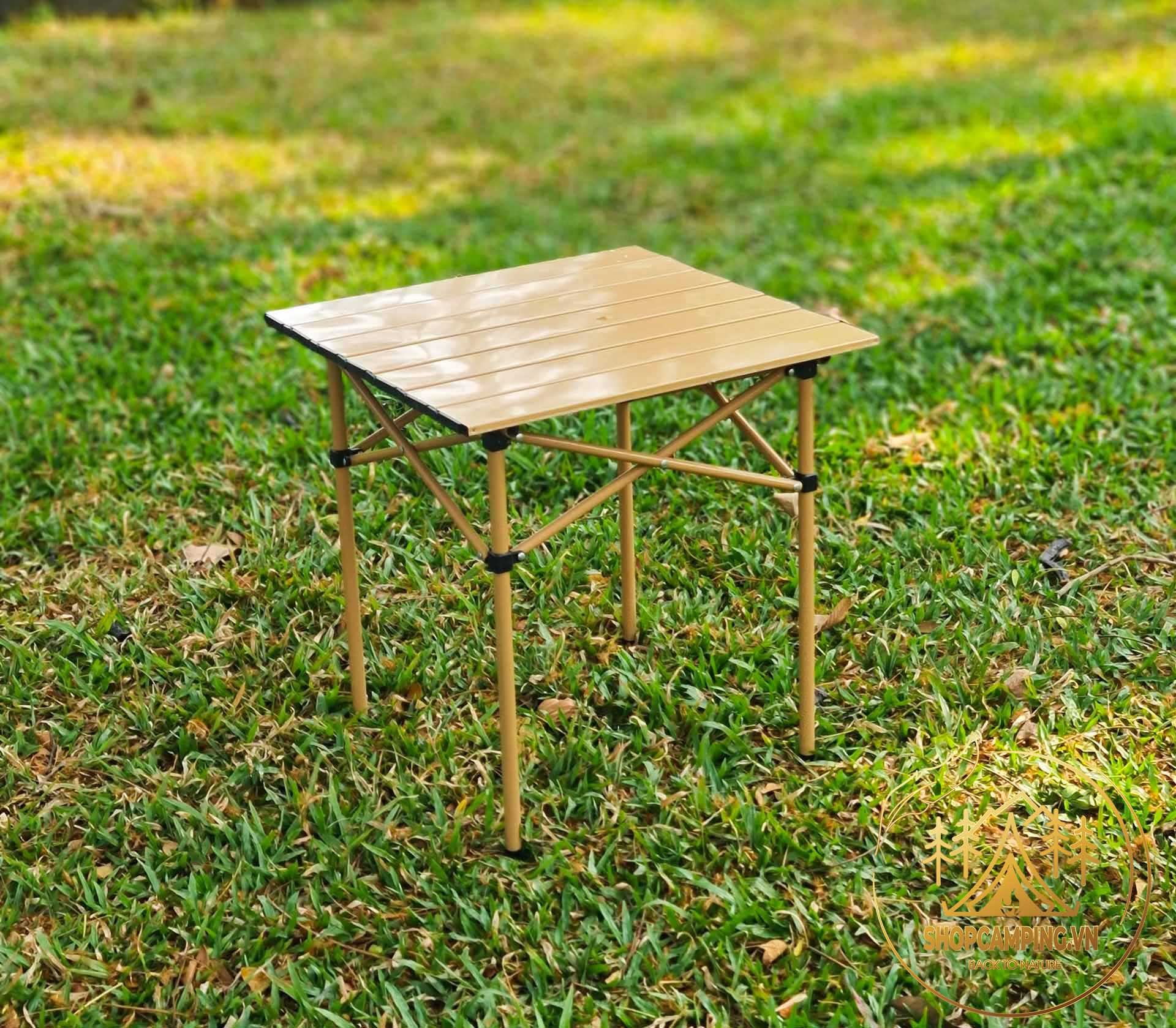 Bàn thép xếp gọn, bàn gấp gọn dã ngoại, bàn xếp thép có túi đựng du lịch,cắm trại, dã ngoại