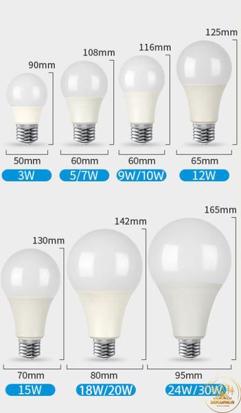  Bóng đèn Led 12V ánh sáng trắng vỏ nhựa 