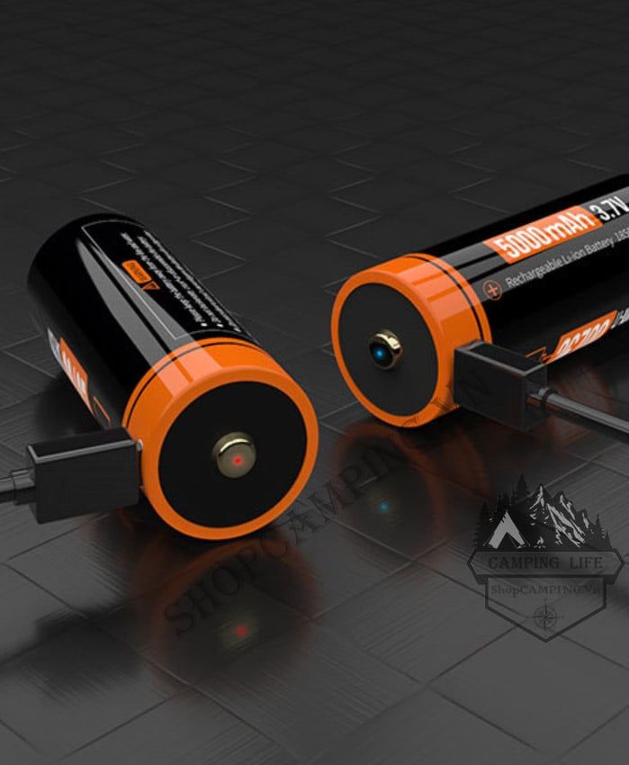 Pin sạc BESTON 26550 5000mAh có mạch bảo vệ, tích hợp cổng sạc USB Micro 3.7v