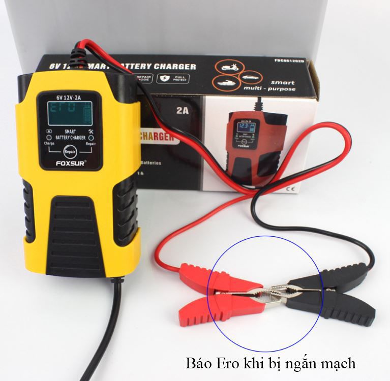 Sạc bình ắc quy 6V 12V dải Pin 4Ah - 40Ah FOXSUR dòng sạc 2A, tự ngắt khi đầy, phục hồi ắc quy khử sunfat, chống ngược cực