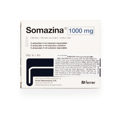 Somazina 1000mg (H/5 ống)
