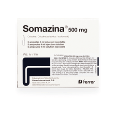 Somazina 500mg (H/5 ống)
