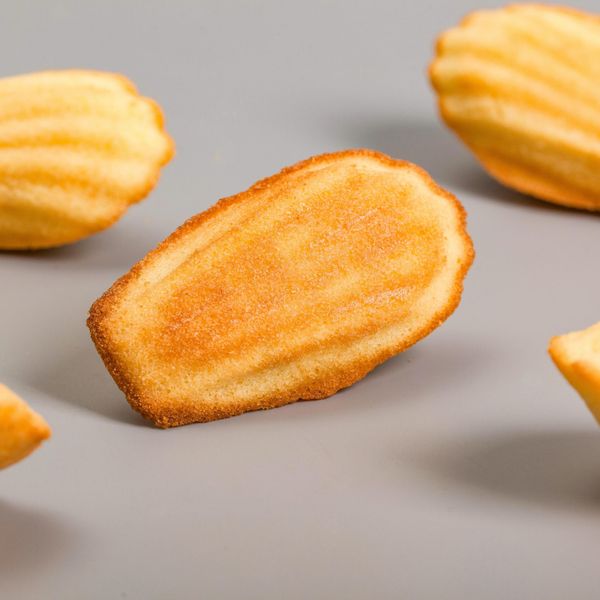  Bánh Madeleine 