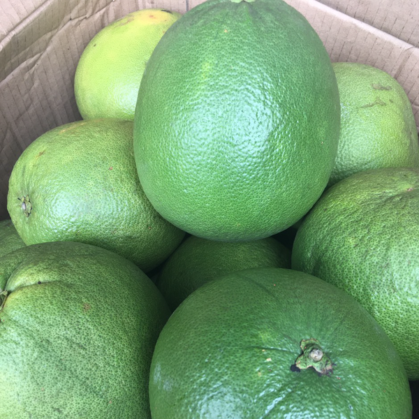 Bưởi da xanh 2 (Green Skin Pomelo Type 2) - 1kg