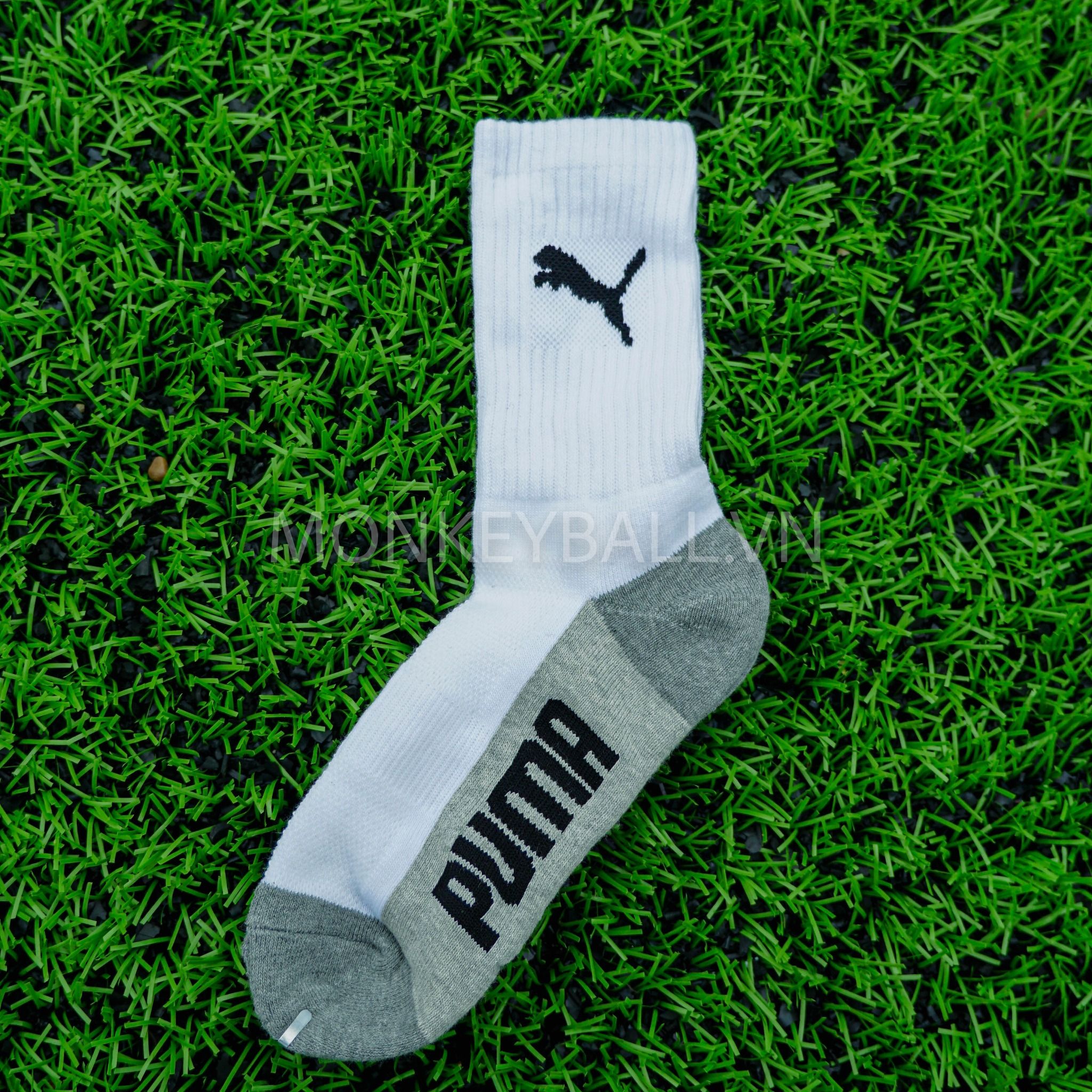 TẤT DỆT KIM PUMA