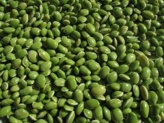 Đậu Xanh 500g - Mung Beans