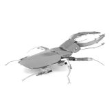  Mô Hình Kim Loại Lắp Ráp 3D Metal Head Bọ Vừng Stag Beetle – MP059 