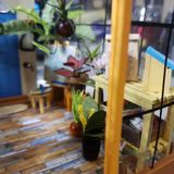  Mô Hình Gỗ 3D Lắp Ráp ROBOTIME DIY Dollhouse Nhà Tí Hon Cathy’s Flower House DG104 – WP042 