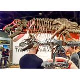  Mô Hình Kim Loại Lắp Ráp 3D Metal Mosaic Bộ Xương Khủng Long Tyrannosaurus Rex Skeleton – MP724 