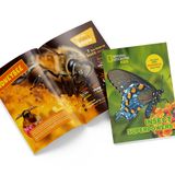  Mô Hình Giấy 3D Lắp Ráp CubicFun Sức Mạnh Của Côn Trùng DS0982 (55 mảnh, National Geographic Insect Superpowers) - PP055 