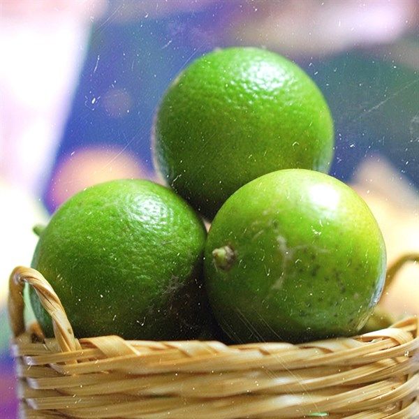 Tắc
