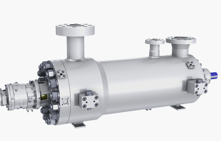 GSG-BFP diffuser style barrel pump for feedwater applications