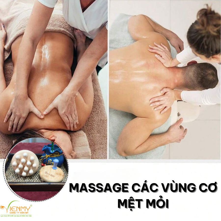 Bàn chải thư hoạt cân cơ TG008