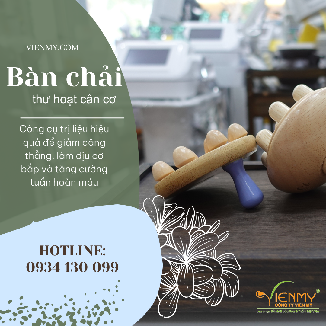Bàn chải thư hoạt cân cơ TG008