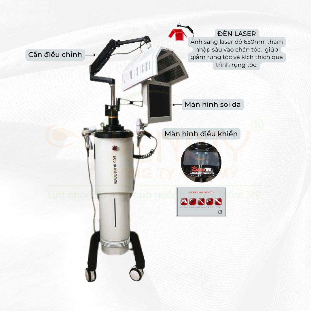 Máy ánh sáng trị liệu tóc 5in1 ZENTEK