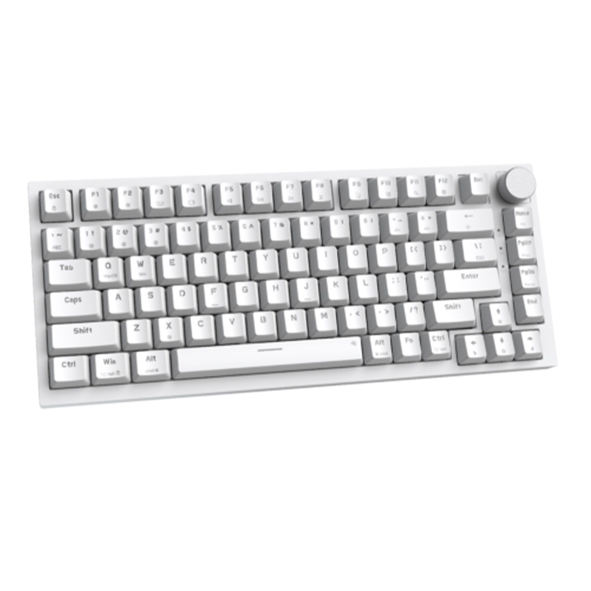 Bàn phím cơ Gaming Newmen GM326 - White | Brown Switch, Tenkeyless