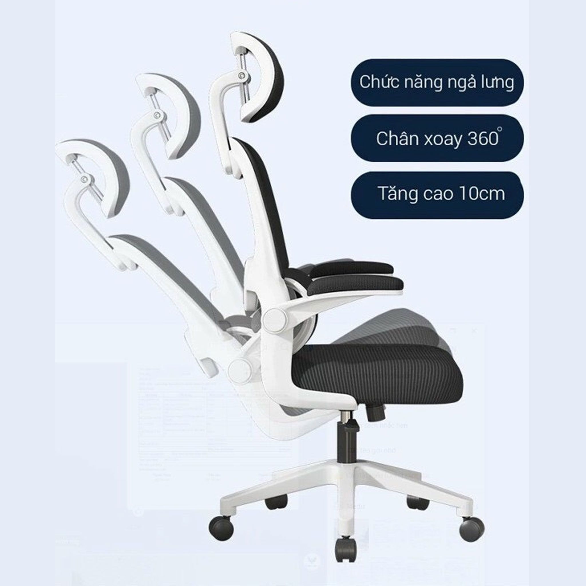 Ghế công thái học Ergonomic TMS09 | Đen