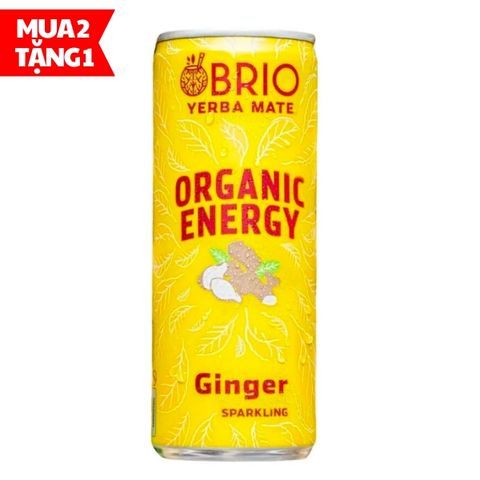 Trà năng lượng hữu cơ hương gừng Brio Yerba Mate