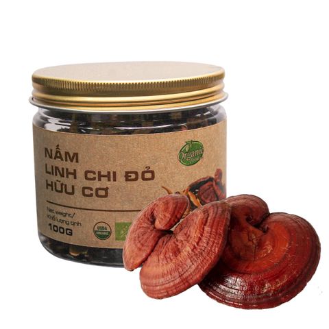 Nấm linh chi đỏ hữu cơ 40g